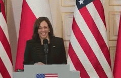 被问乌克兰难民问题美国副总统哈里斯哈哈大笑联合国安理会讨论乌克